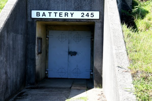Battery 245