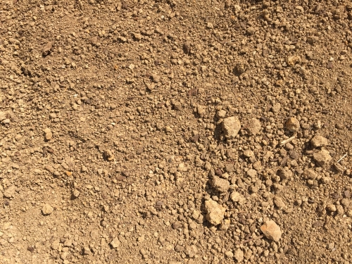 clay soil
